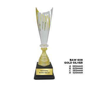 BAW 608
