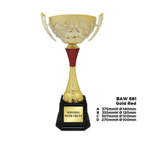 BAW 681