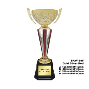 BAW 685