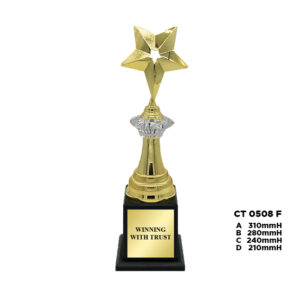 CT 0508 F