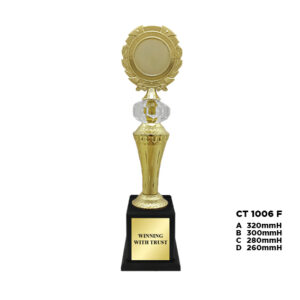 CT 1006 F