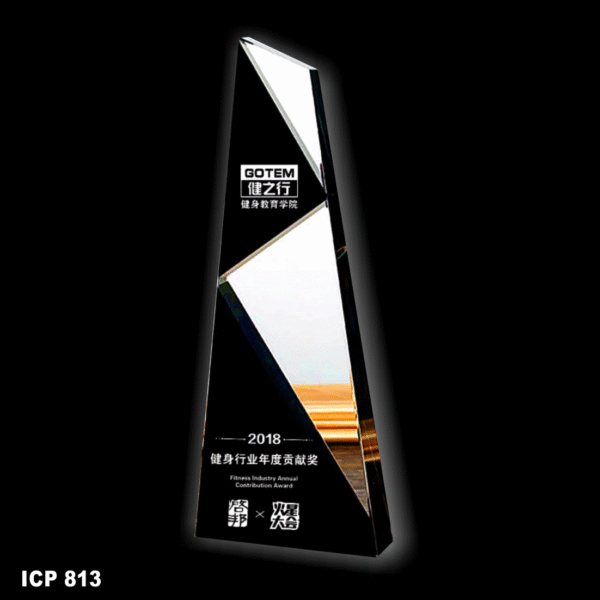 ICP 813