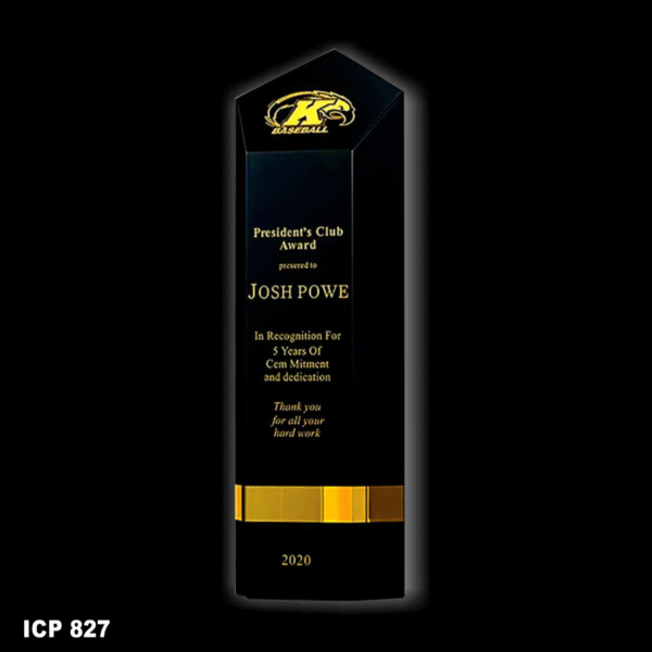 ICP 827