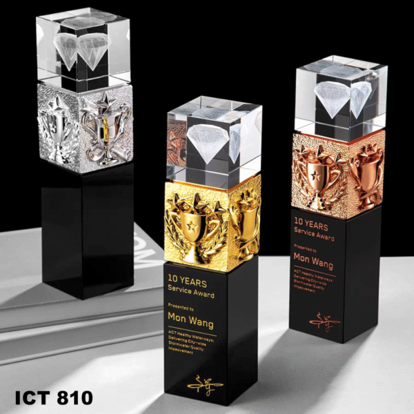 ICT 810