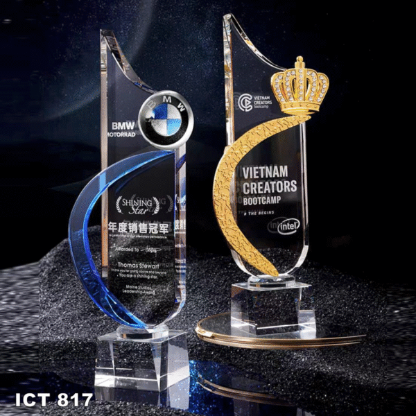 ICT 817