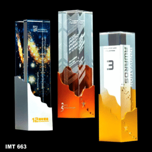 IMT 663