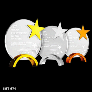 IMT 671