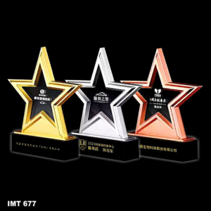 IMT 677