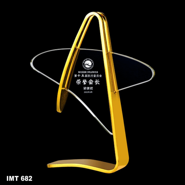 IMT 682
