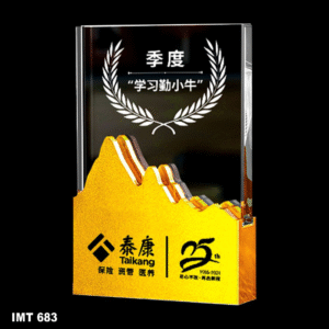 IMT 683