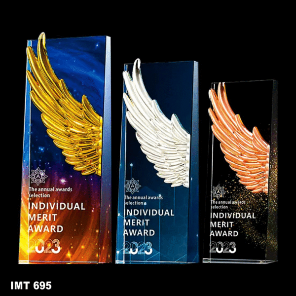IMT 695