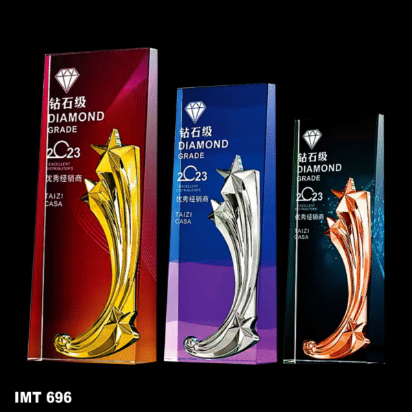 IMT 696