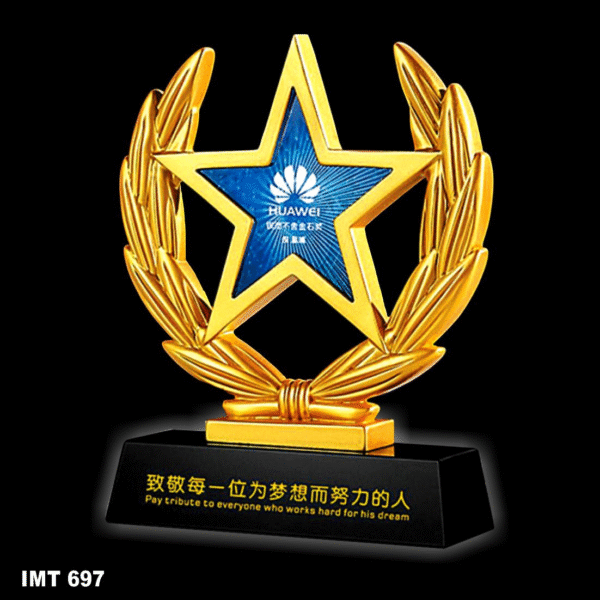 IMT 697