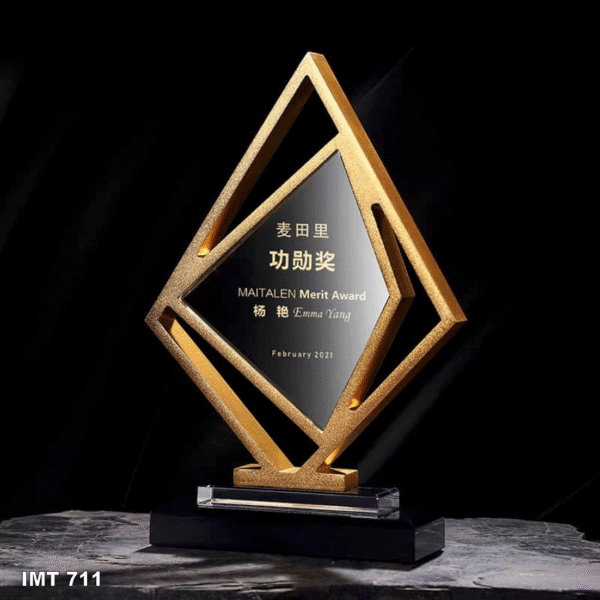 IMT 711