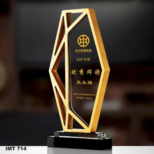 IMT 714