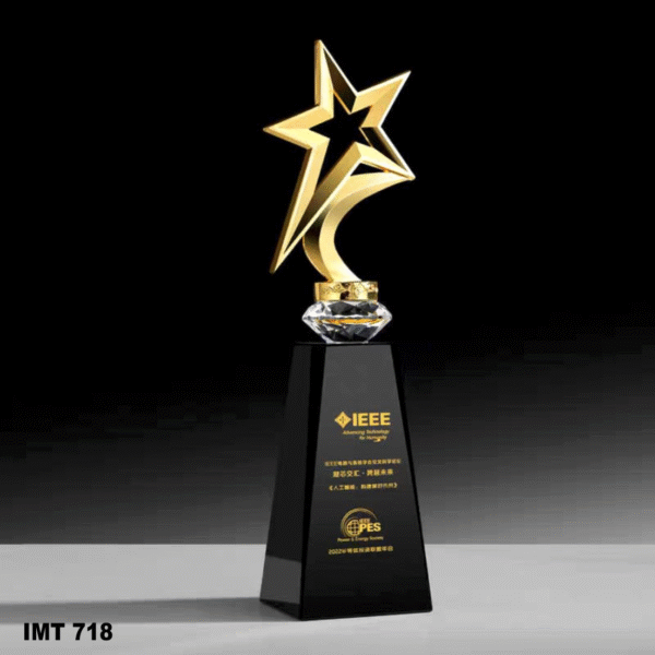 IMT 718