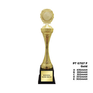 PT 0707 F